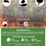 Последствия выжигания сухой травы