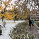 Коммунальная служба Ляховичского района готова к снегопадам