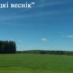 Теплая и дождливая погода ожидается в Беларуси на этой неделе
